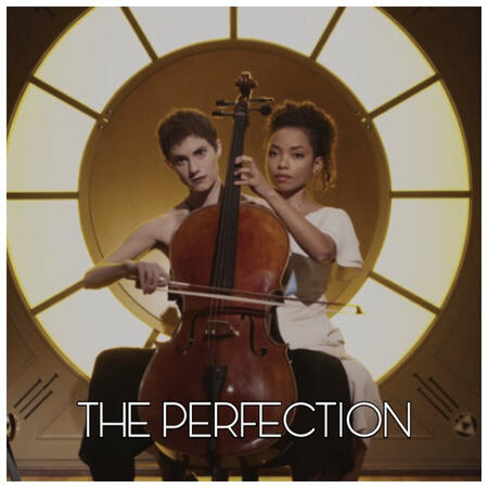 THE PERFECTION